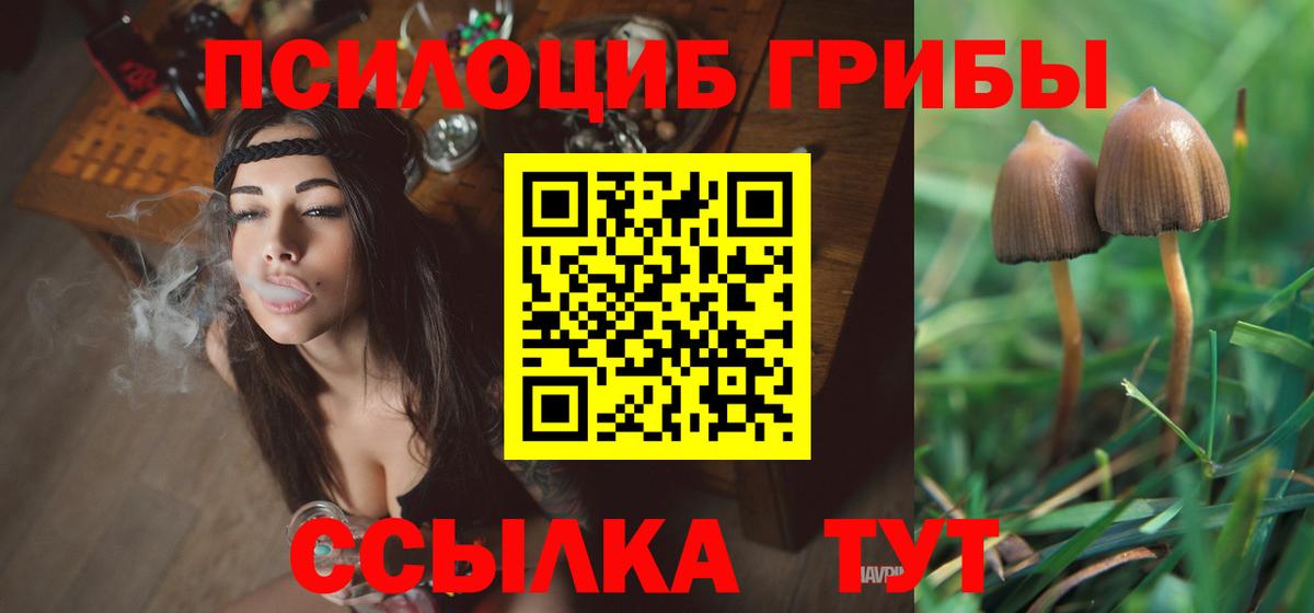 Галлюциногенные грибы GOLDEN TEACHER  Вход с VPN  Псилоцибиновые грибы мухоморы  Нерюнгри 