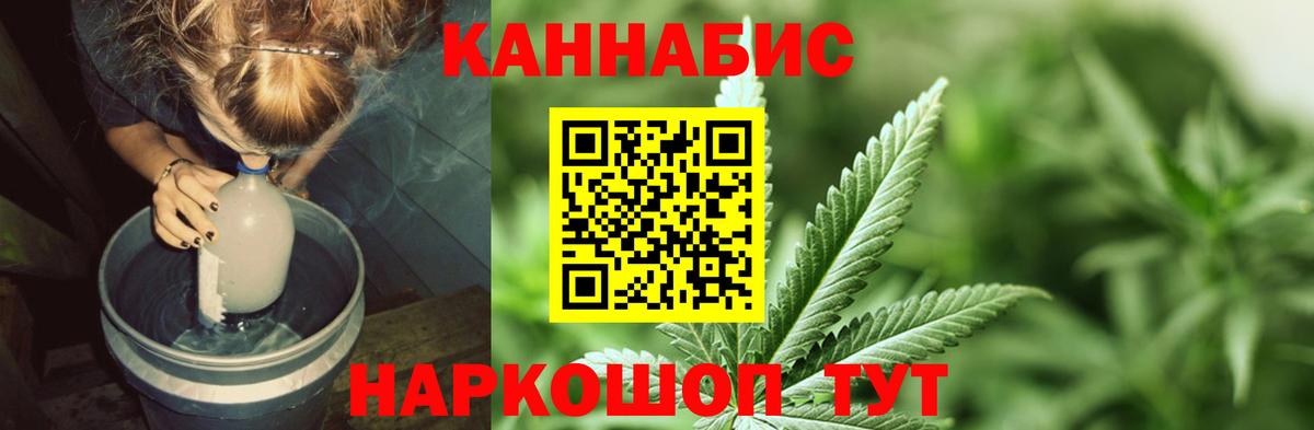 Конопля Bruce Banner  Марихуана конопля  Нерюнгри  Вход с VPN  Бошки марихуана VHQ  Бошки марихуана SATIVA & INDICA 